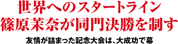 Eւ̃X^[gCA䝓ނ匈𐧂