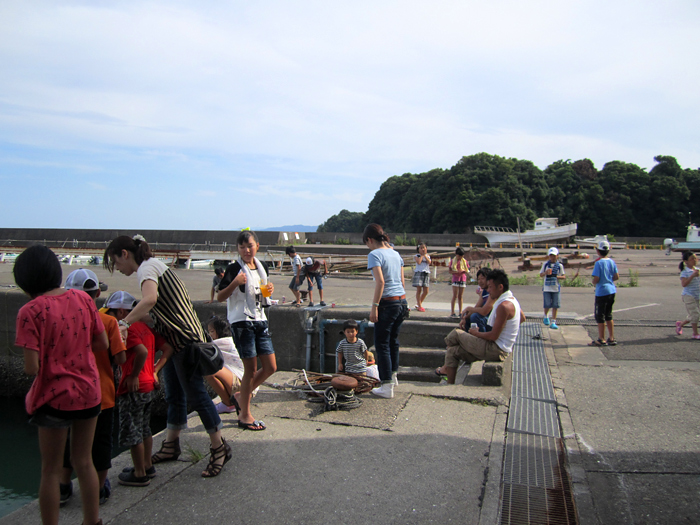 2013l\nODCp[eB