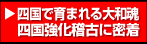 四国強化稽古